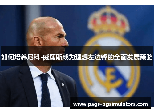 如何培养尼科-威廉斯成为理想左边锋的全面发展策略