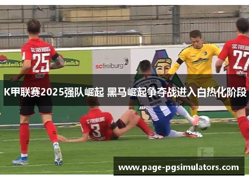K甲联赛2025强队崛起 黑马崛起争夺战进入白热化阶段