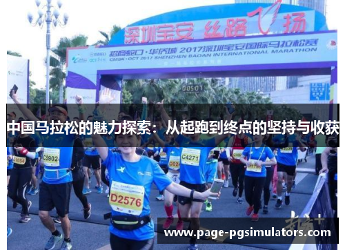 中国马拉松的魅力探索：从起跑到终点的坚持与收获