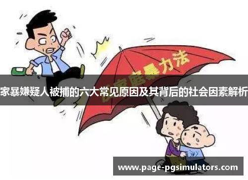 家暴嫌疑人被捕的六大常见原因及其背后的社会因素解析
