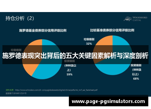 施罗德表现突出背后的五大关键因素解析与深度剖析