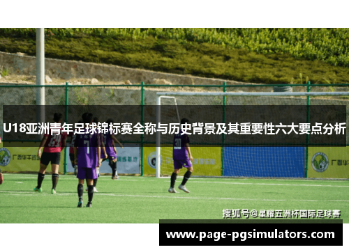 U18亚洲青年足球锦标赛全称与历史背景及其重要性六大要点分析