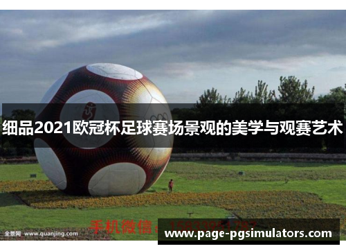 细品2021欧冠杯足球赛场景观的美学与观赛艺术