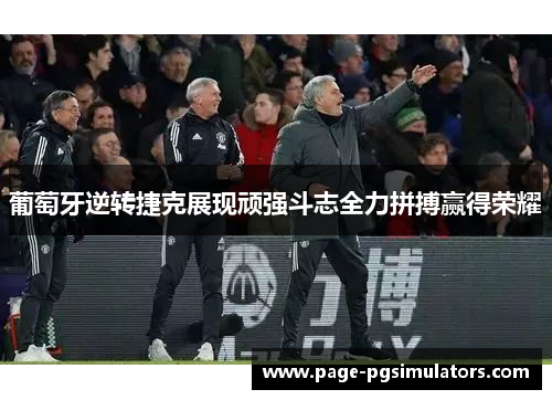 葡萄牙逆转捷克展现顽强斗志全力拼搏赢得荣耀