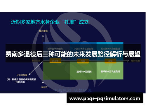 费南多退役后三种可能的未来发展路径解析与展望