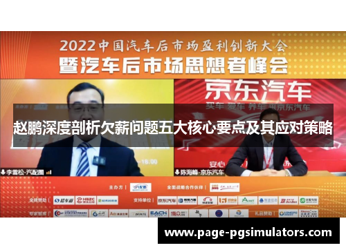 赵鹏深度剖析欠薪问题五大核心要点及其应对策略