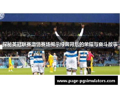 探秘英冠联赛激情赛场揭示绿茵背后的荣耀与奋斗故事