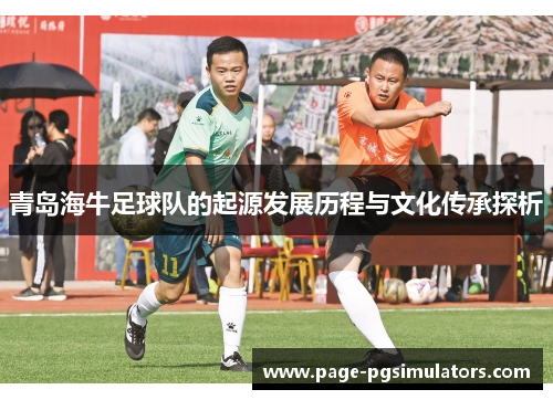 青岛海牛足球队的起源发展历程与文化传承探析 青岛海牛足球队的起源发展历程与文化传承探析