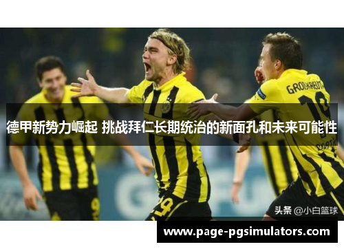 德甲新势力崛起 挑战拜仁长期统治的新面孔和未来可能性