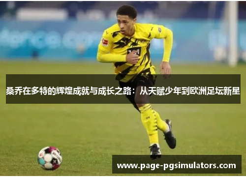 桑乔在多特的辉煌成就与成长之路：从天赋少年到欧洲足坛新星