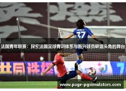 法国青年联赛：探索法国足球青训体系与新兴球员崭露头角的舞台