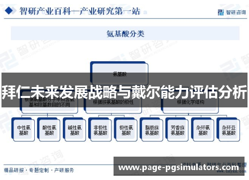 拜仁未来发展战略与戴尔能力评估分析