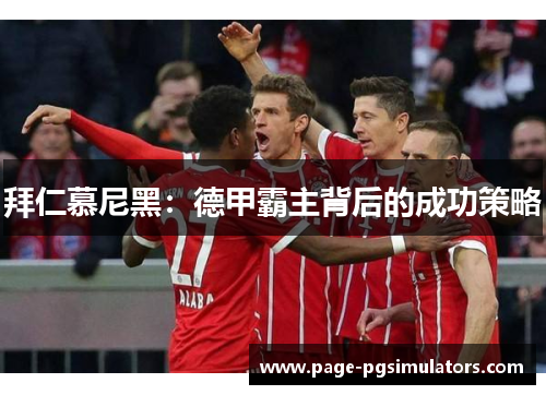 拜仁慕尼黑：德甲霸主背后的成功策略